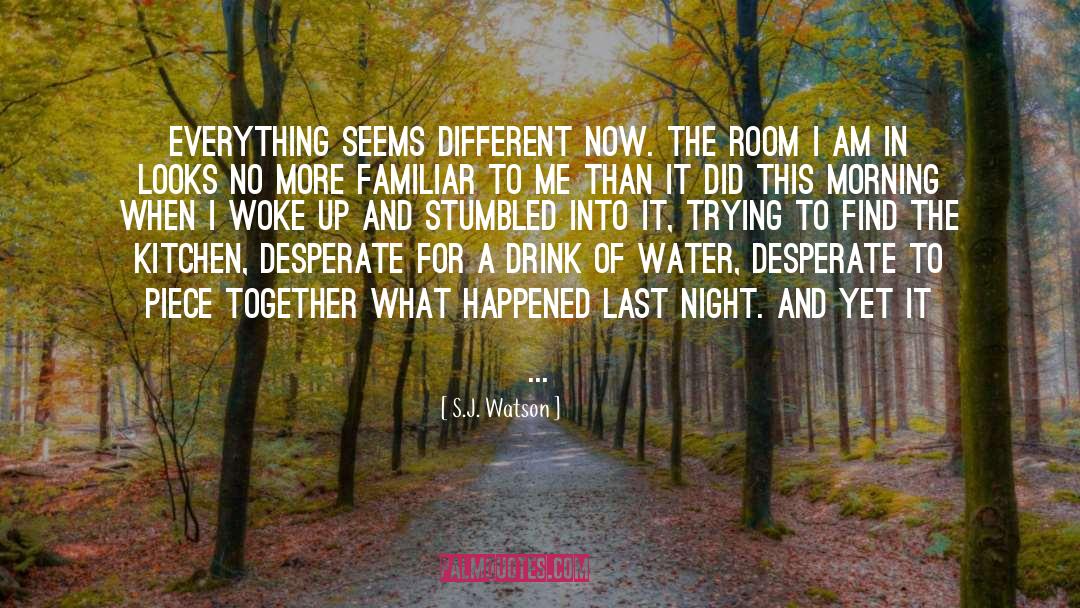 What Happened quotes by S.J. Watson