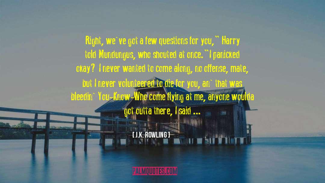 What I Do Is None Of Your Business quotes by J.K. Rowling