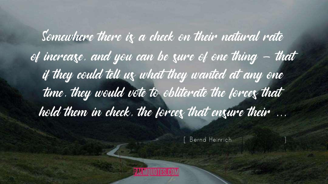 What Interests You Most quotes by Bernd Heinrich