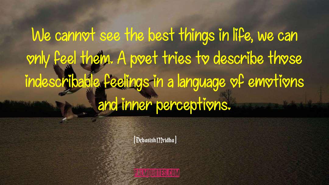 What Is A Poet quotes by Debasish Mridha