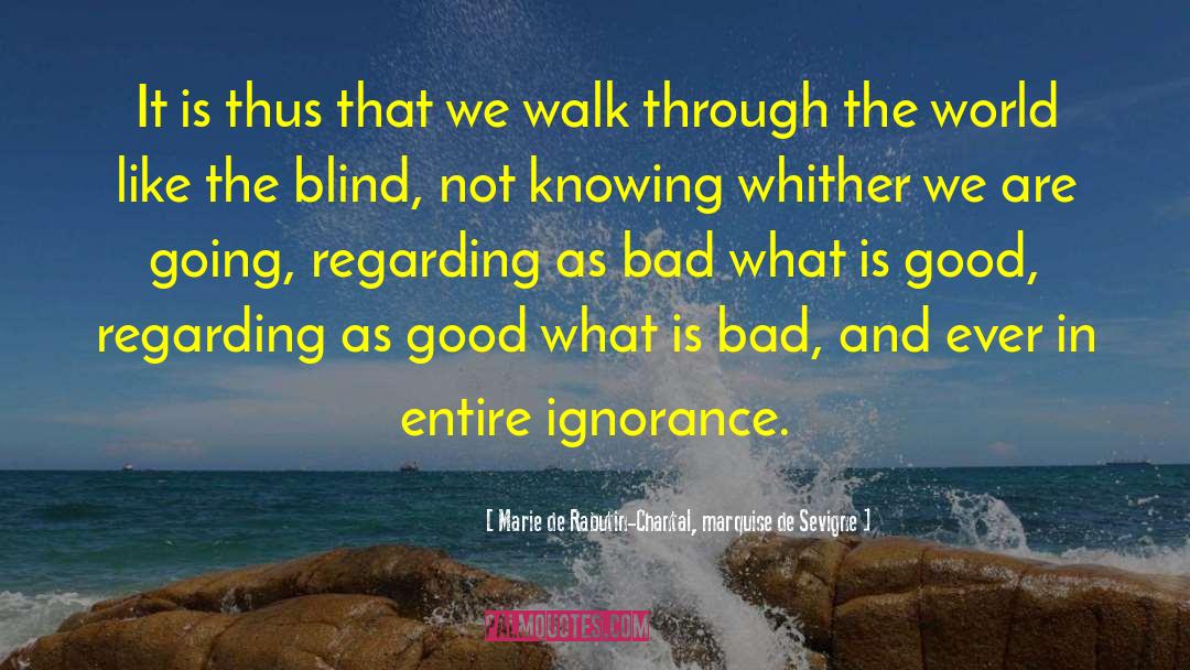 What Is Bad quotes by Marie De Rabutin-Chantal, Marquise De Sevigne
