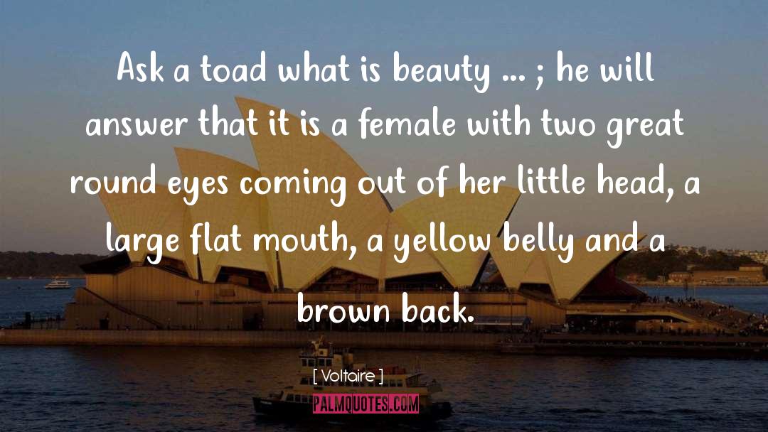 What Is Beauty quotes by Voltaire