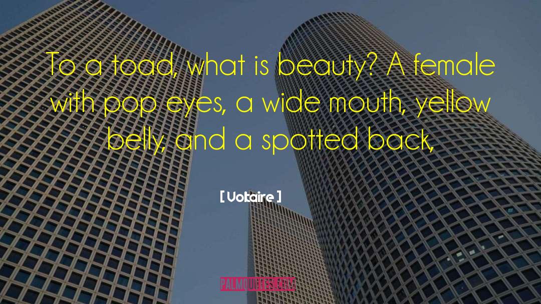 What Is Beauty quotes by Voltaire