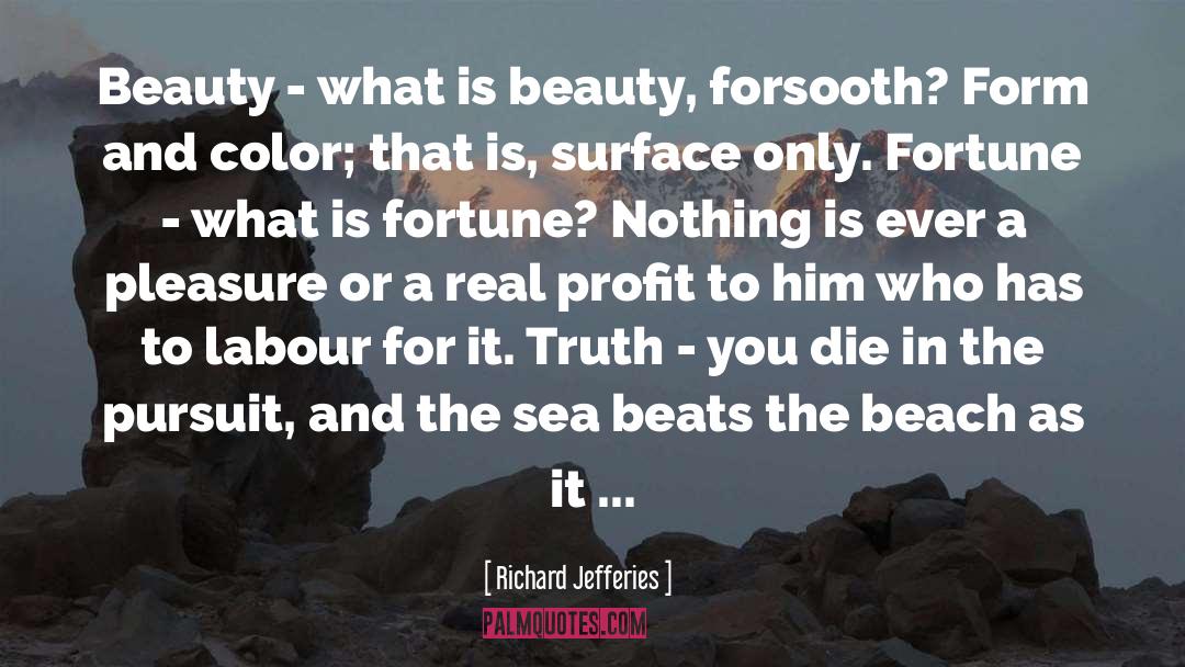 What Is Beauty quotes by Richard Jefferies