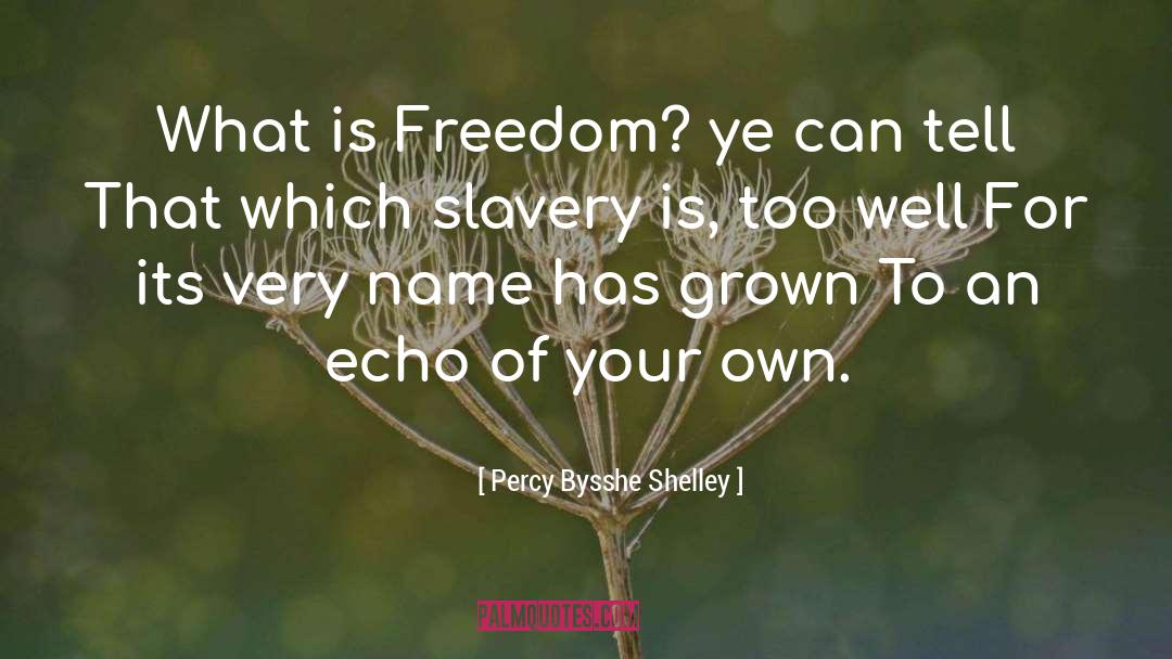 What Is Freedom quotes by Percy Bysshe Shelley