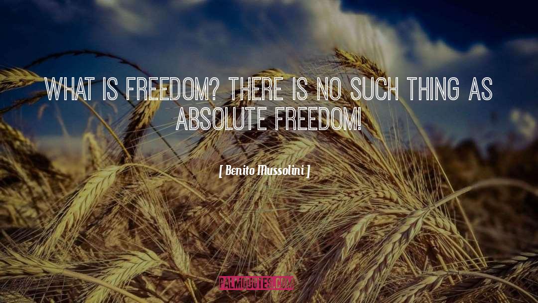 What Is Freedom quotes by Benito Mussolini