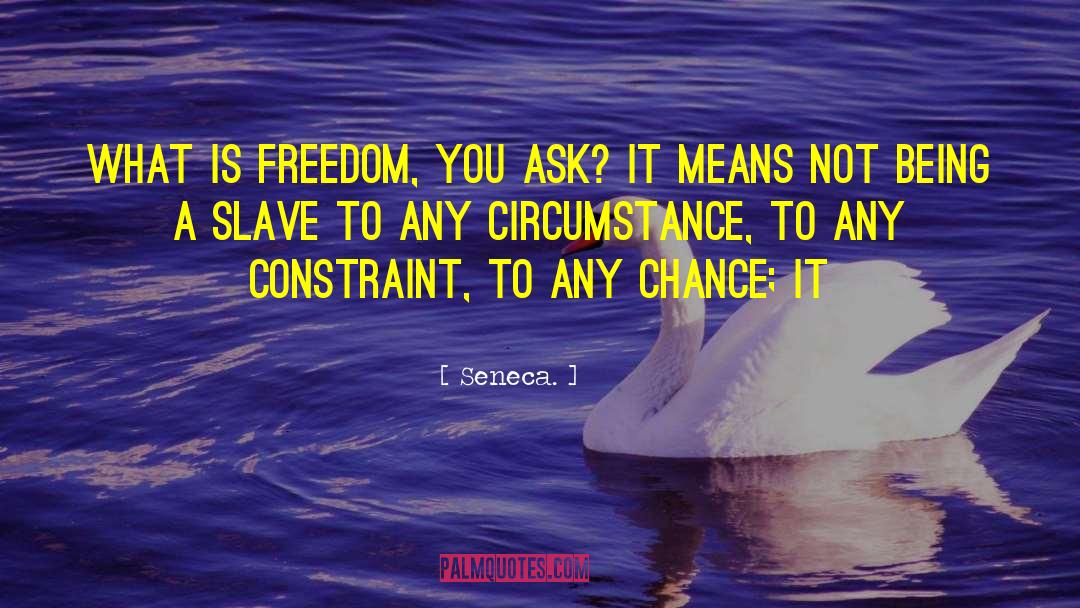 What Is Freedom quotes by Seneca.