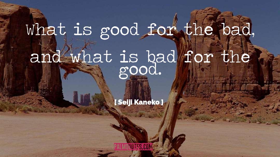 What Is Good quotes by Seiji Kaneko