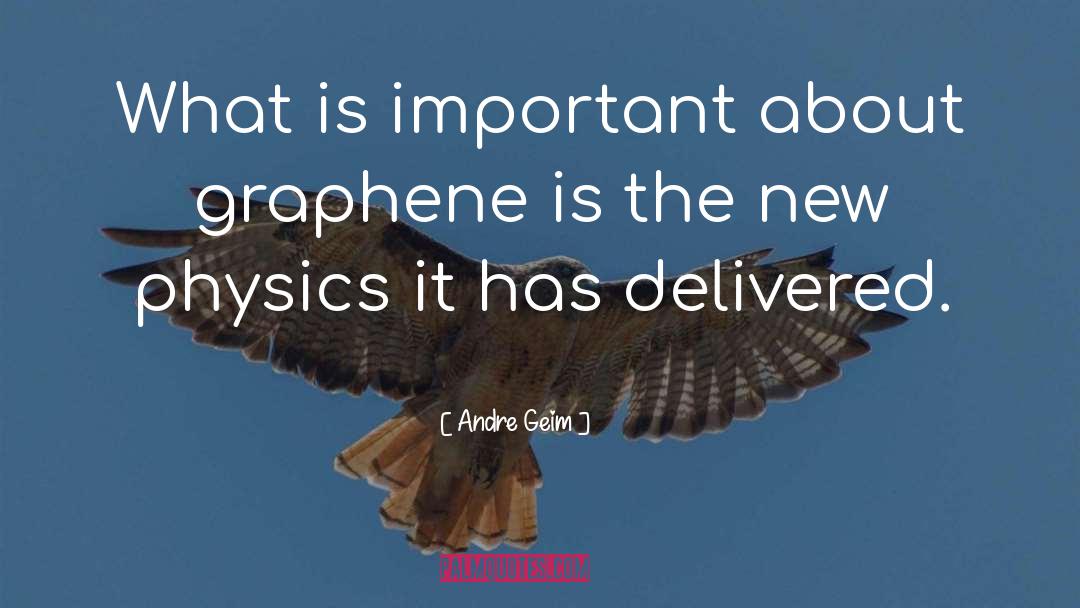 What Is Important quotes by Andre Geim