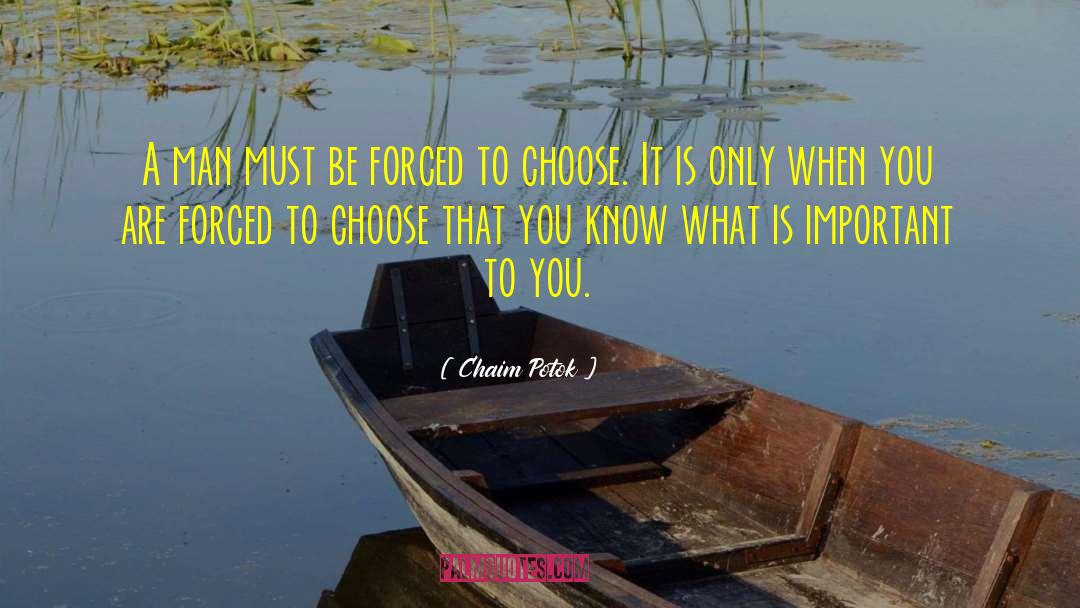 What Is Important To You quotes by Chaim Potok