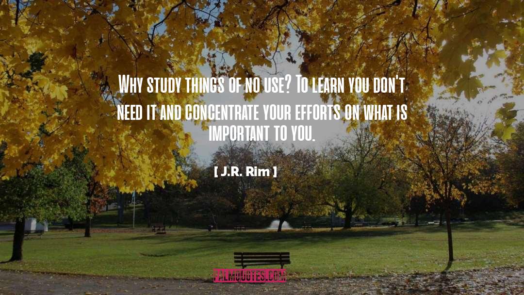 What Is Important To You quotes by J.R. Rim