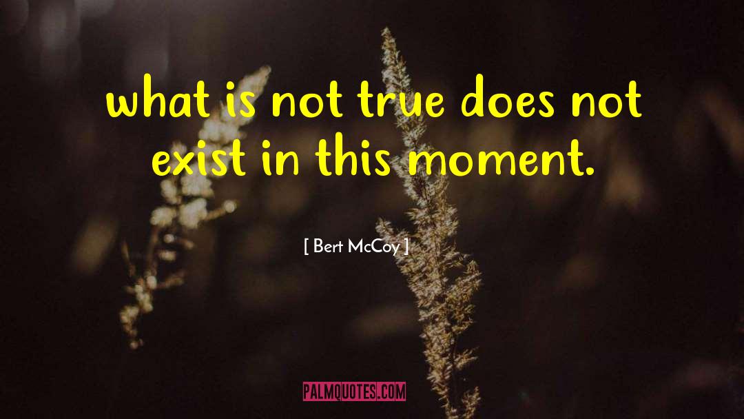 What Is Karma quotes by Bert McCoy