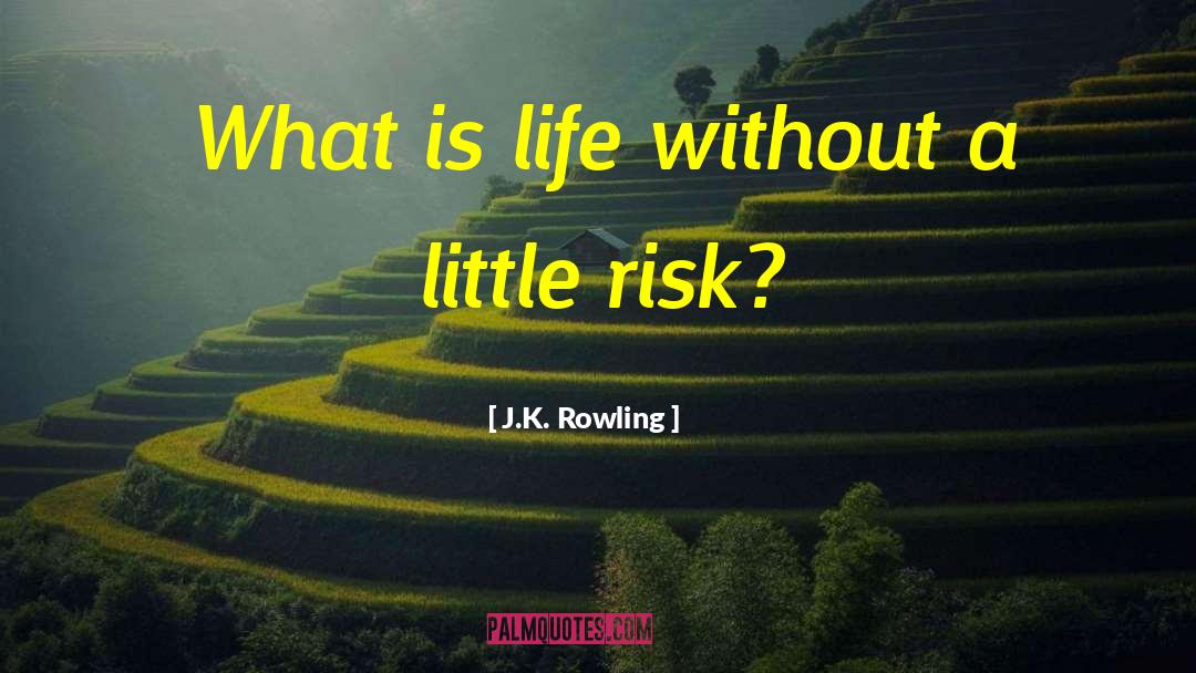 What Is Life quotes by J.K. Rowling