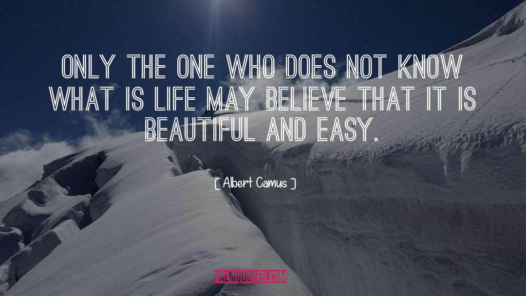 What Is Life quotes by Albert Camus