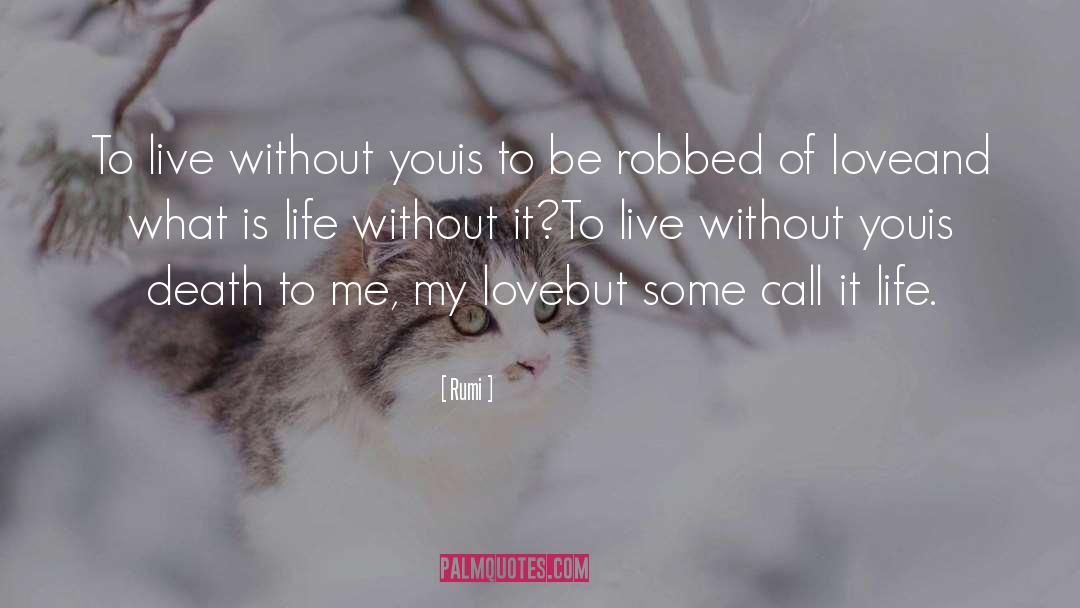 What Is Life quotes by Rumi