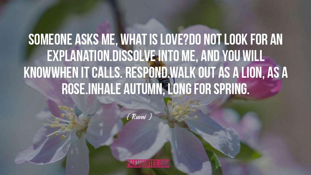 What Is Love quotes by Rumi