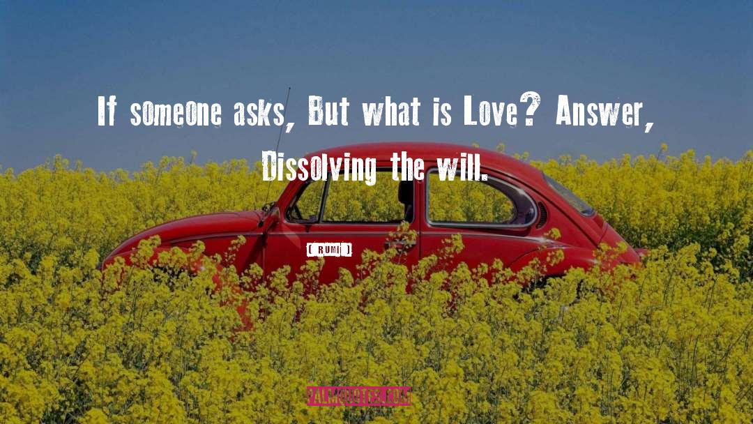 What Is Love quotes by Rumi