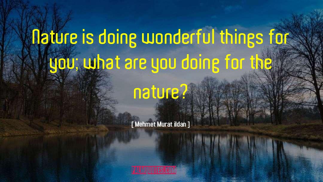What Is Nature quotes by Mehmet Murat Ildan