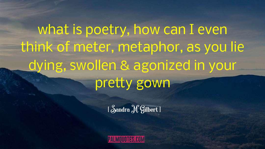 What Is Poetry quotes by Sandra M. Gilbert