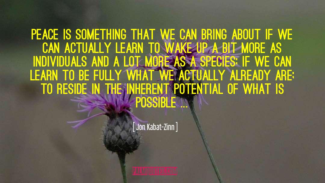 What Is Possible quotes by Jon Kabat-Zinn