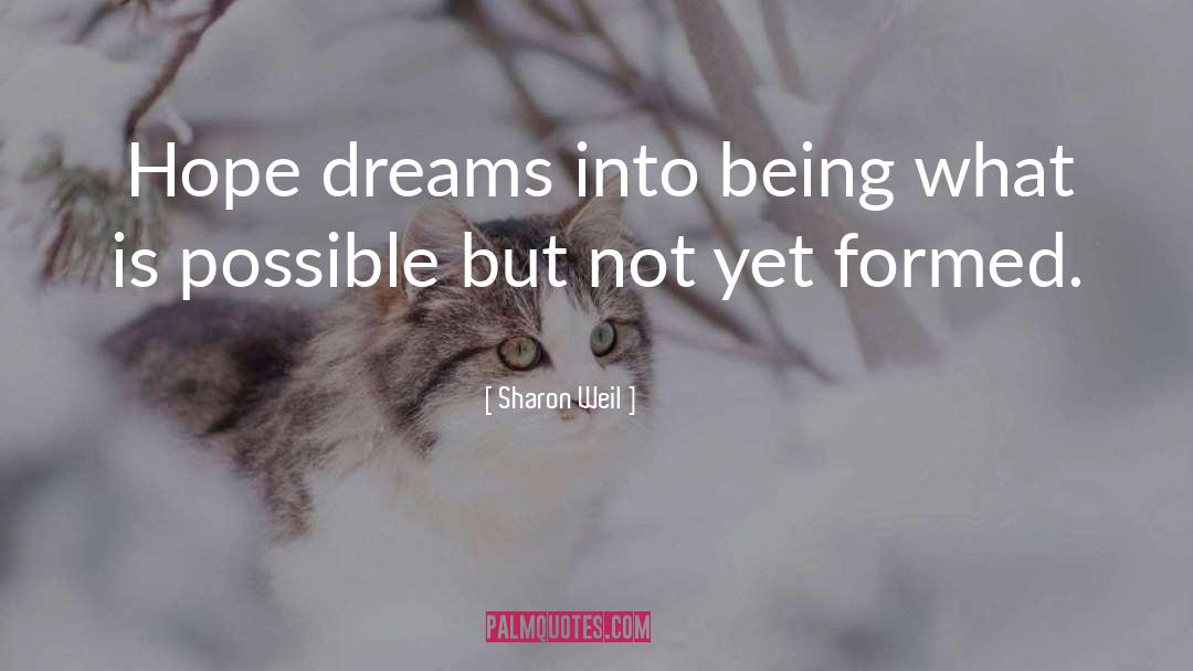 What Is Possible quotes by Sharon Weil
