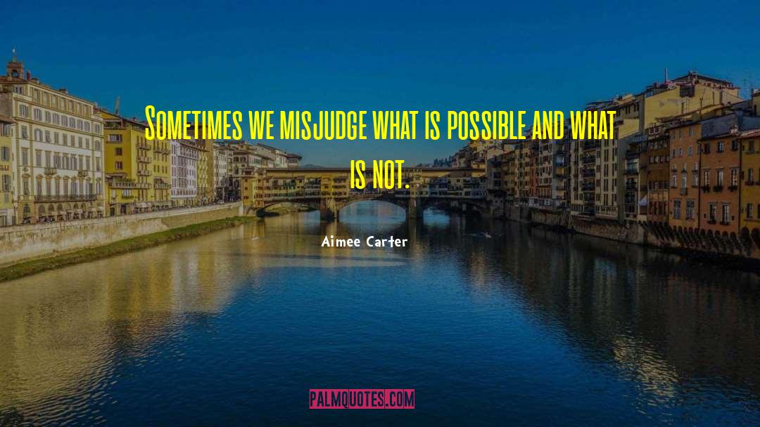 What Is Possible quotes by Aimee Carter
