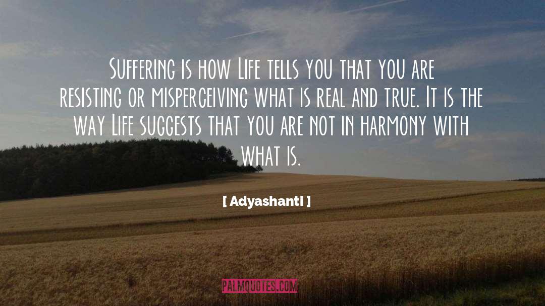 What Is Real quotes by Adyashanti