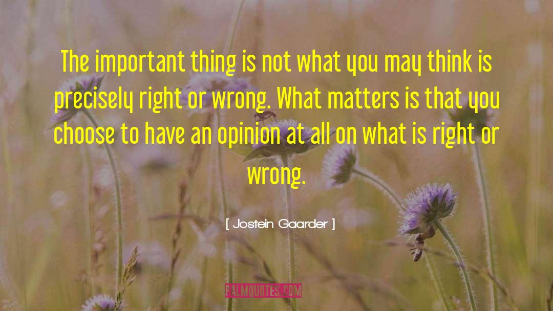 What Is Right quotes by Jostein Gaarder