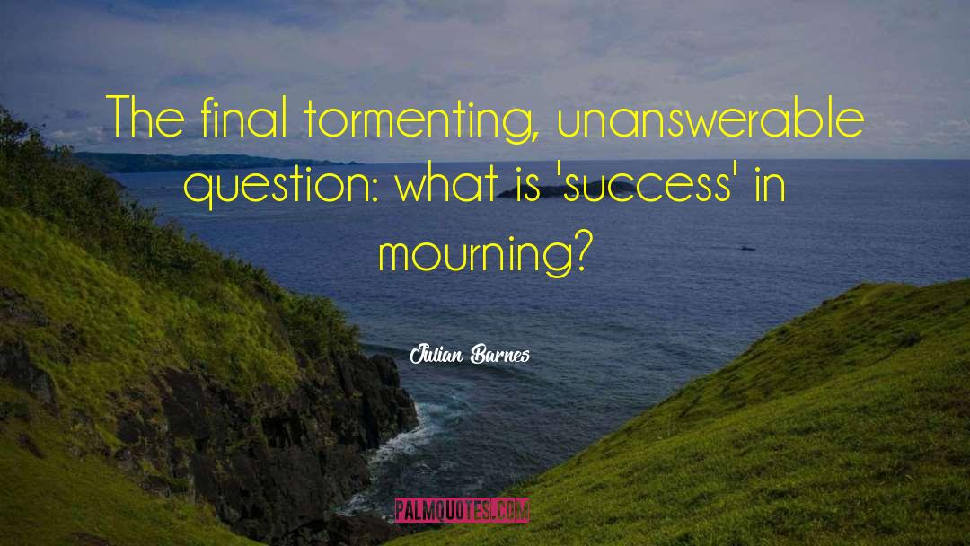 What Is Success quotes by Julian Barnes