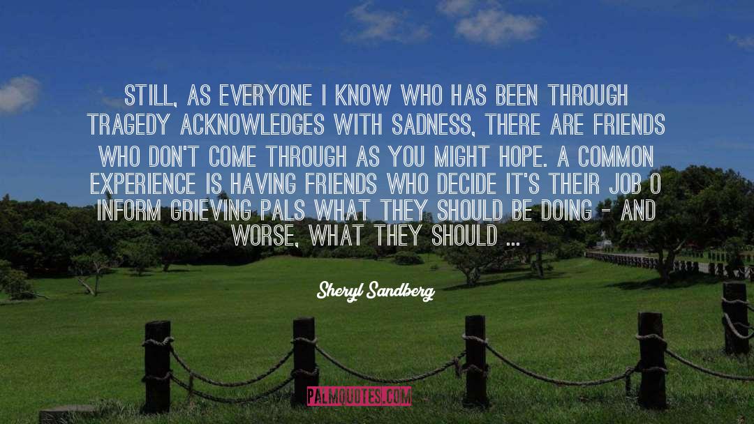 What Is The Tragedy Of Life quotes by Sheryl Sandberg