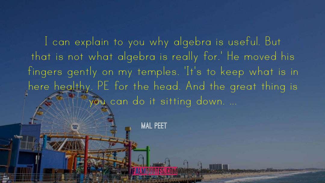What Is Wealth quotes by Mal Peet