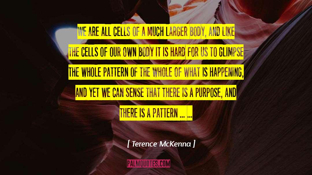 What Is Yoga quotes by Terence McKenna