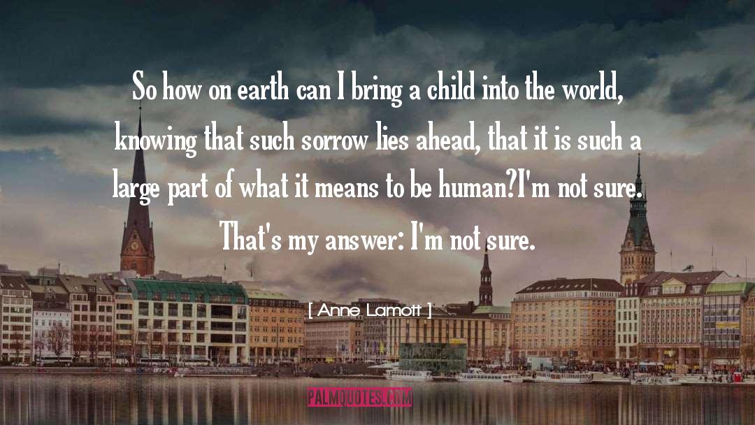 What It Means To Be Human quotes by Anne Lamott