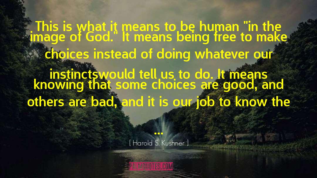 What It Means To Be Human quotes by Harold S. Kushner