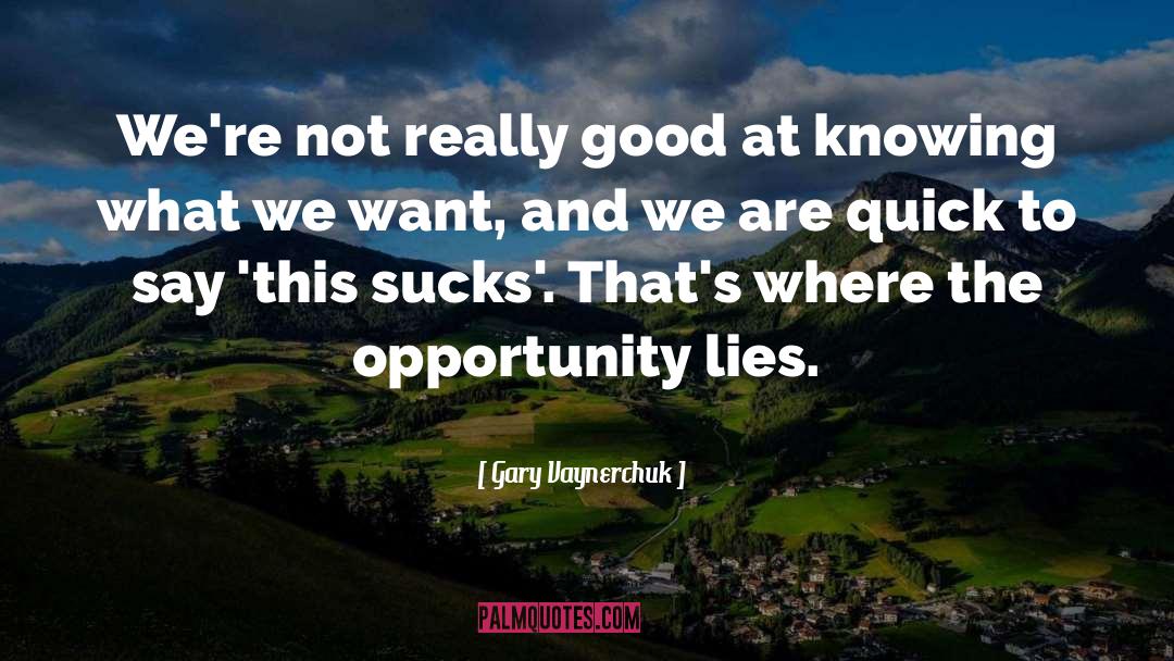 What Lies Beneath quotes by Gary Vaynerchuk