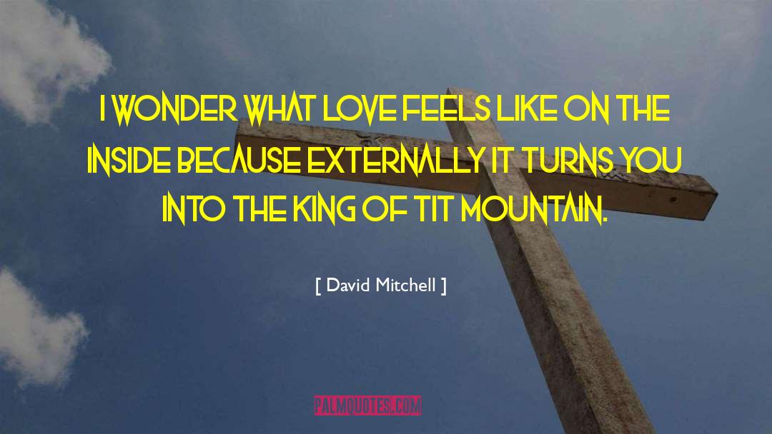 What Love Feels Like quotes by David Mitchell