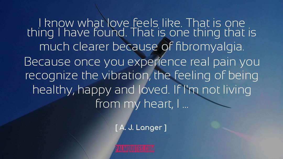 What Love Feels Like quotes by A. J. Langer