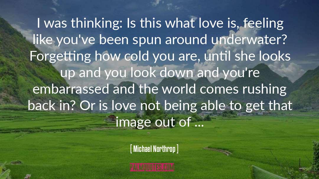 What Love Is quotes by Michael Northrop