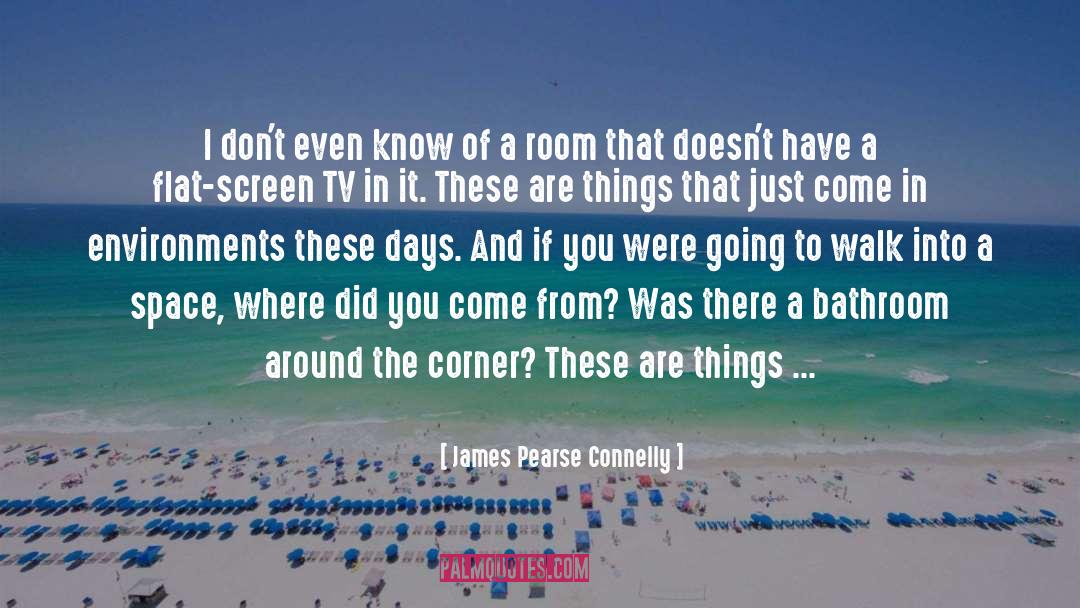 What Makes You Beautiful quotes by James Pearse Connelly