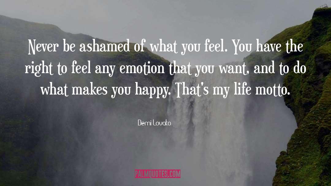 What Makes You Happy quotes by Demi Lovato