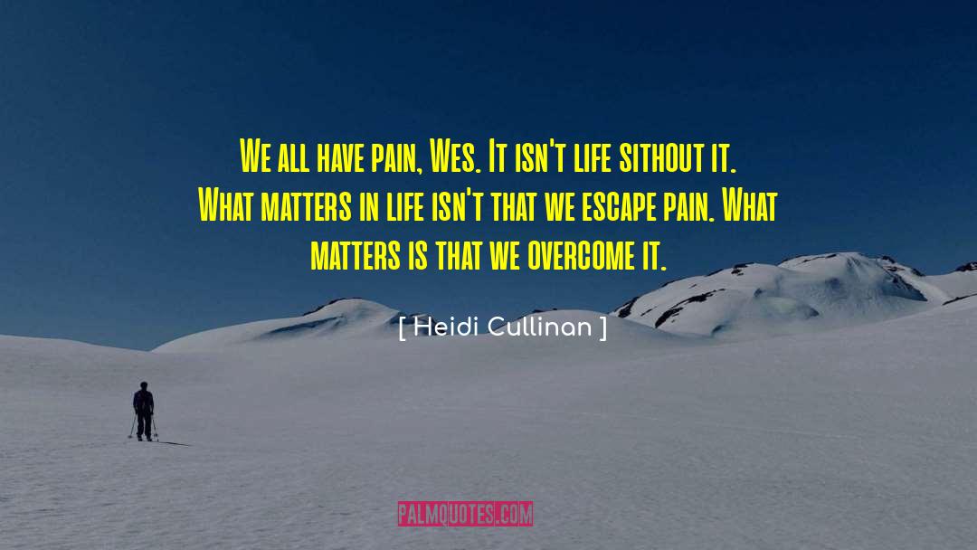 What Matters In Life quotes by Heidi Cullinan