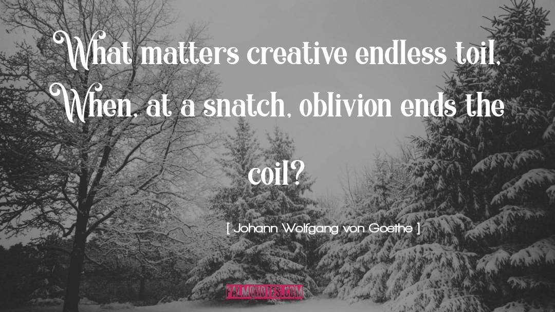 What Matters quotes by Johann Wolfgang Von Goethe