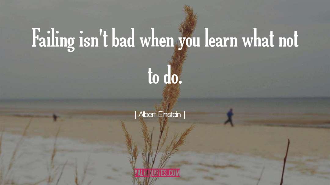 What Not To Do quotes by Albert Einstein