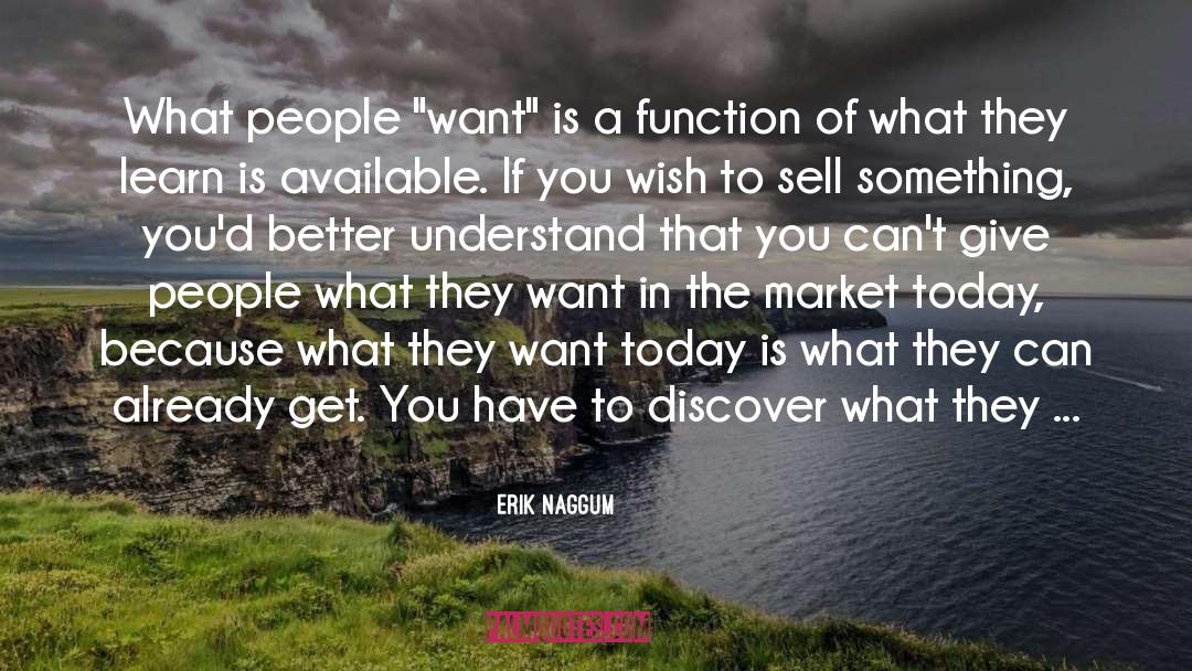 What People Want quotes by Erik Naggum