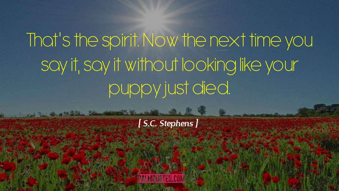 What S Next quotes by S.C. Stephens