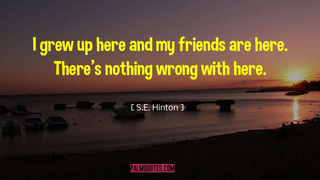 What S Wrong quotes by S.E. Hinton