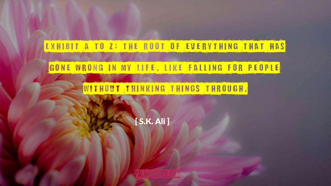 What S Wrong quotes by S.K. Ali