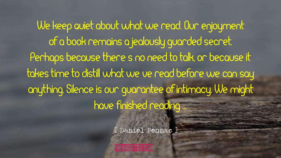 What Silence Can Do quotes by Daniel Pennac