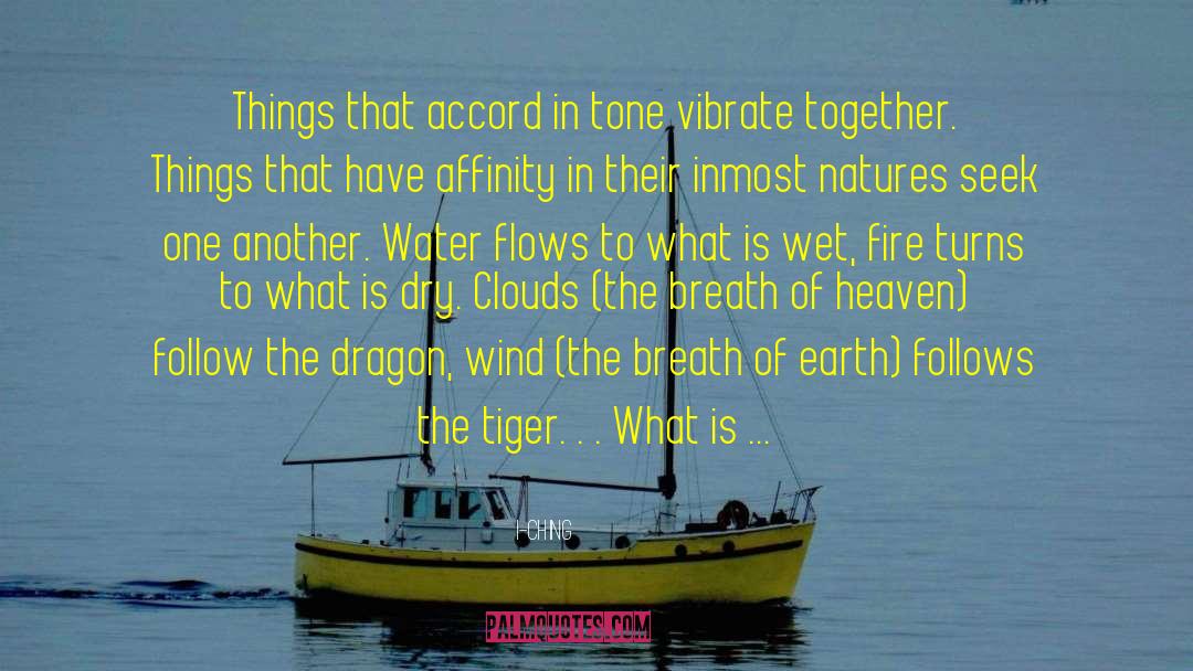 What The Water Gave Me quotes by I-Ching