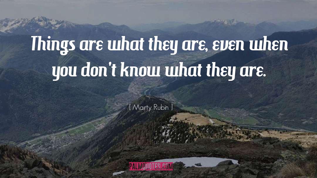 What They Are quotes by Marty Rubin